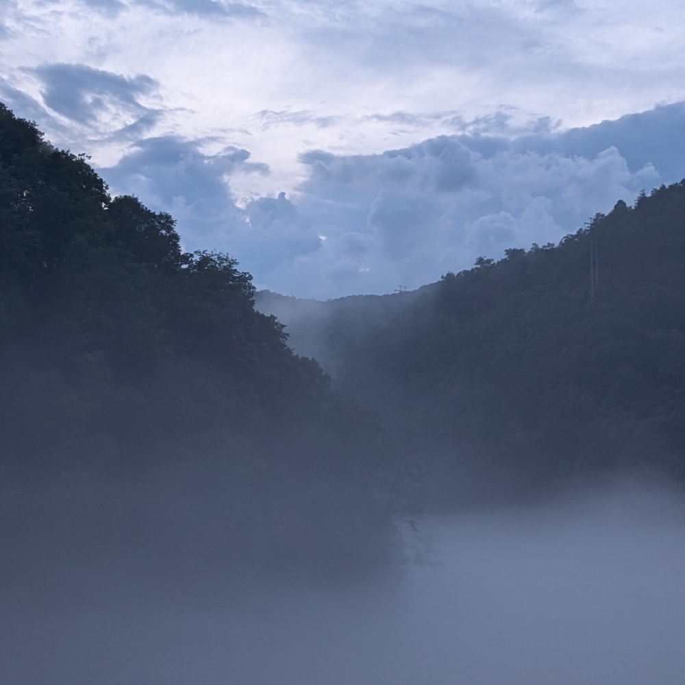 Meet your Posher, Nika